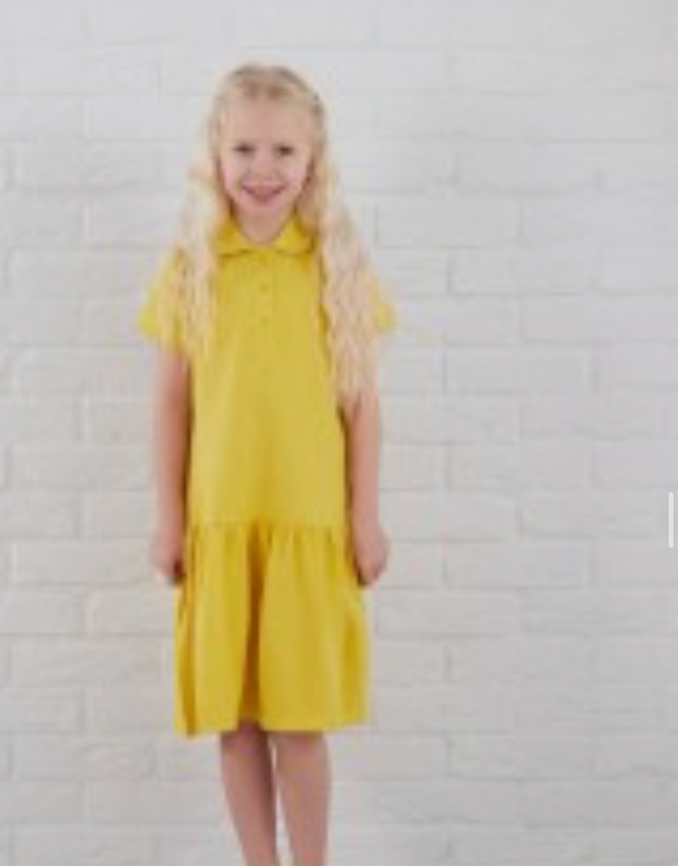 Polo Dress