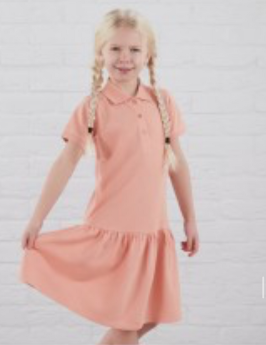 Polo Dress